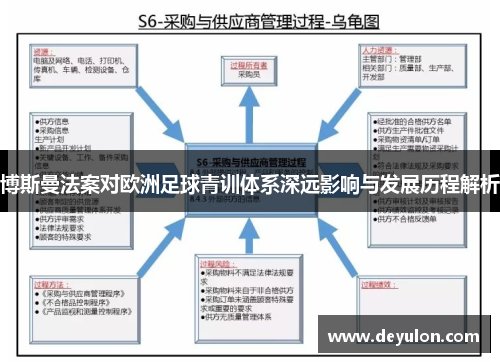 博斯曼法案对欧洲足球青训体系深远影响与发展历程解析